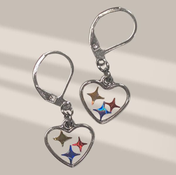 Steelmark embed earrings